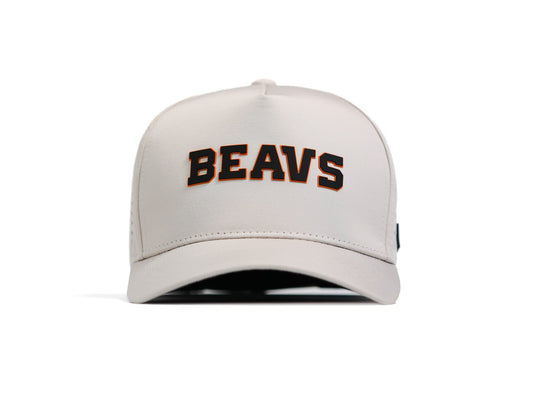 HydroGuard BEAVS Hat in CHALK