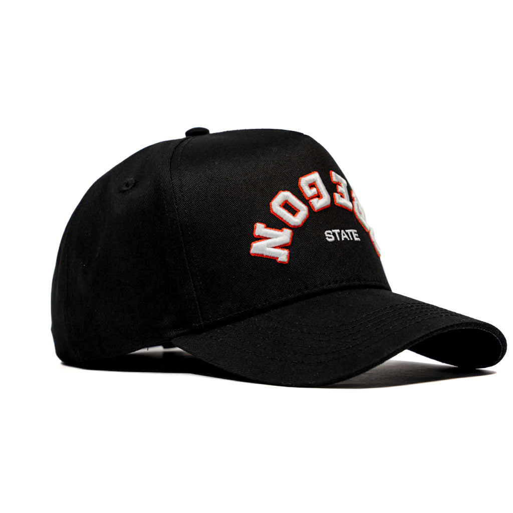 ИOITꓘƎ⅃ꟻƎЯ Collection | Backwards Oregon State Hat